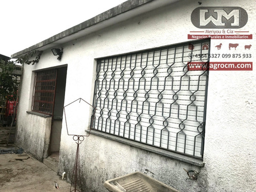 Imagen 12 de 14 de Venta Casa Trinidad Flores 2 Dormitorio Patio Cochera Parril
