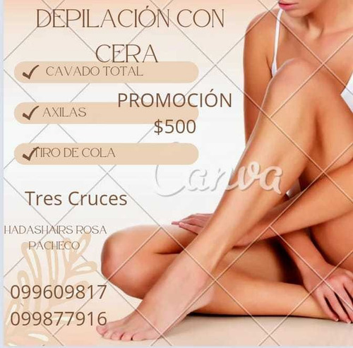 Imagen 1 de 5 de Peluquería Y Estética (agenda Al Wp) Promo Amigas 2x1