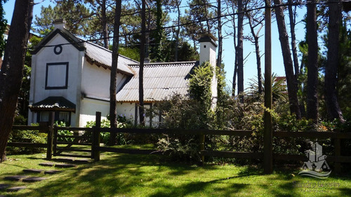 Alquiler Punta Del Este- Ref: 28867