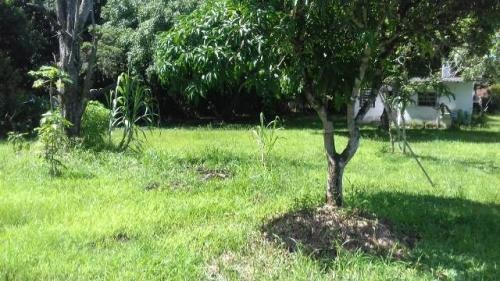 Chácara No Bairro São Fernando Em Itanhaém. | 5214-pc