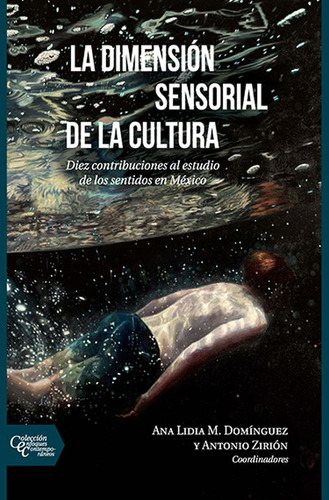 Libro Dimension Sensorial De La Cultura, La Lku
