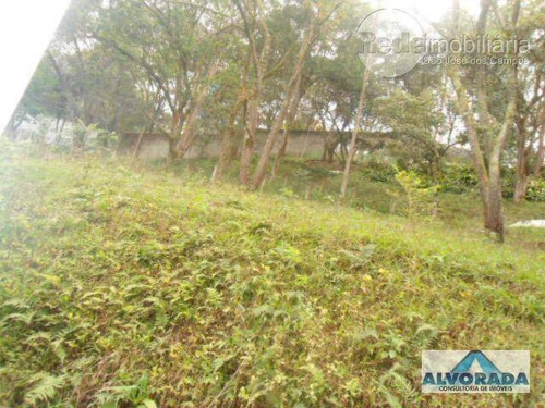 Imagem 2 de 4 de Terreno Residencial À Venda, Bairro Inválido, Cidade Inexistente - Te0404. - Te0404