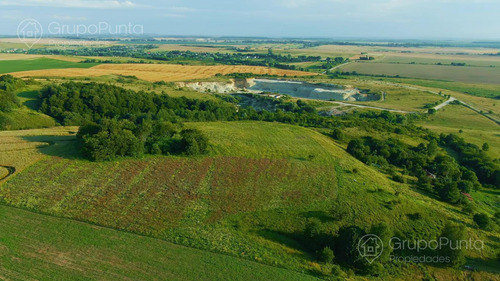 Campo En Arrendamiento - Cerro Largo