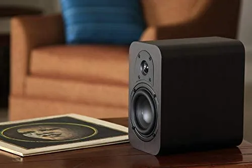 Altavoz De Estantería De Referencia Micca Rb42 Con Woofer De