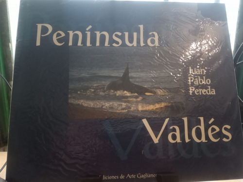 Peninsula Valdes E3