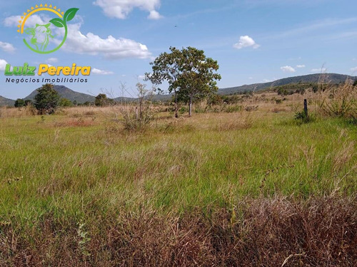 Imagem 8 de 15 de Fazenda À Venda Em São Valério - To - De 223 Alqueirões (pecuária) - 1821