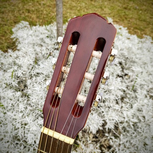 Imagen 5 de 10 de Guitarra Clásica Gracia C/corte Modelo M6