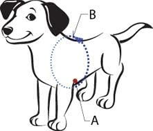 El Arnés De Entrenamiento Para Perros Sin Tirones Original