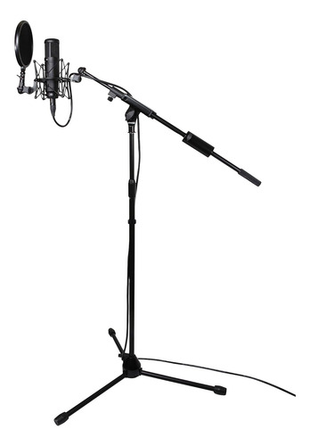 Soporte Para Microfono Tascam Tm-am1 TriPod Boom Con Cont...