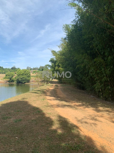 Imagem 20 de 29 de Chácara À Venda Em Sousas - Ch003874