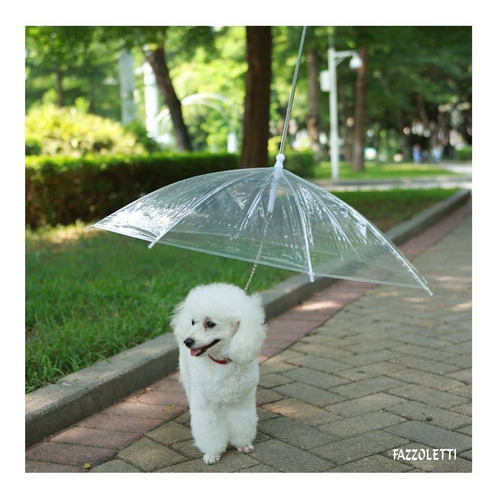 Guarda Chuva Transparente Para Pet Cachorro Gato Fazzoletti