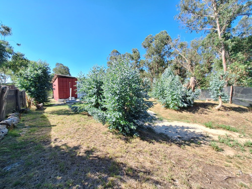 Venta De Propiedad En Bello Horizonte