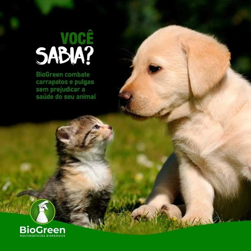Biogreen Multinseticida Biorgânico 2 Litros