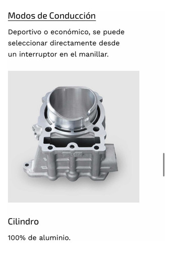 Imagen 11 de 13 de Zontes R310