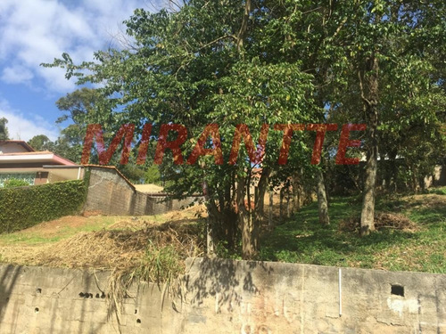 Imagem 12 de 14 de Terreno Em Vila Irmaos Arnoni - São Paulo, Sp - 309868