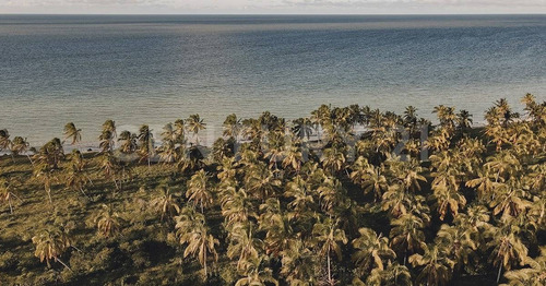 Imagen 17 de 30 de Proyecto De Lotes Residenciales En Telchac Puerto, Yucatán