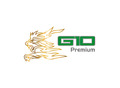 G10 COSMETICOS
