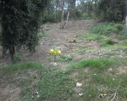 Imagem 5 de 14 de Terreno Na Taquara ( Jacarepaguá ) Ci1125