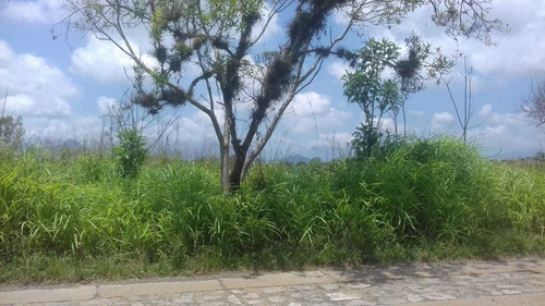 Imagen 1 de 8 de Se Vende Terreno En Sta. Gertrudis (fortin) ¡ideal Para Desarrolladores!