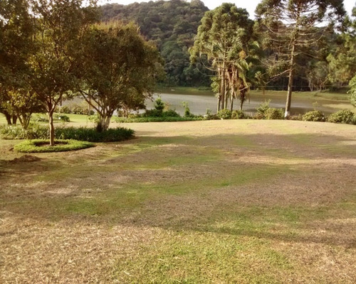 Imagem 28 de 30 de Excelente Sítio Rico Em Água Á Venda Em Juquitiba. - 194 - 32982689