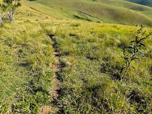 Imagem 7 de 15 de G19 Vendo Terreno Em Santa Isabel 1000m² 02