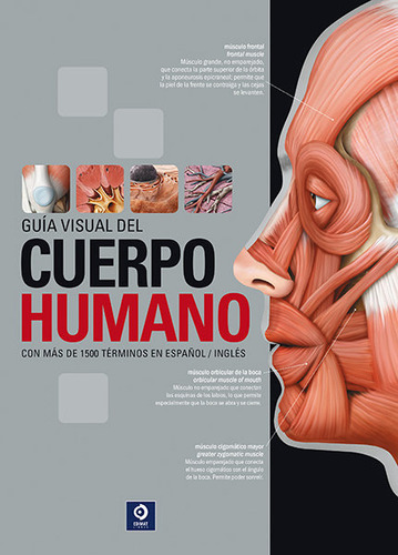 Libro Guia Visual Del Cuerpo Humano