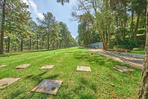 Jazigo 4 Gavetas Cemitério Jardim Da Colina Sbc