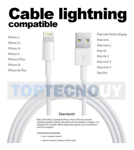 Cable Lightning Datos iPhone XS Xr 10 X 8 7 6s 6 5 Premium ®