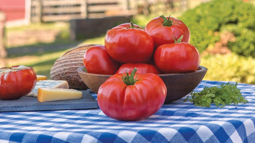 100 Semillas Orgánicas De Tomate Platense
