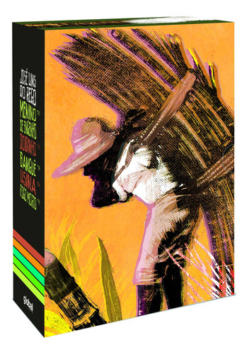 Ciclo Da Cana De Açucar, De Lins Do Rego, José. José Lins Do Rego Editorial Grupo Editorial Global, Capa Mole Em Português, 2022