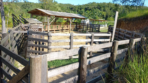 Fazendinha A Venda