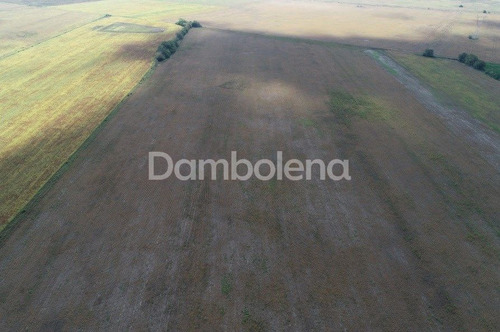 Terreno En Venta Ubicado En Alvear, Rosario, Santa Fe