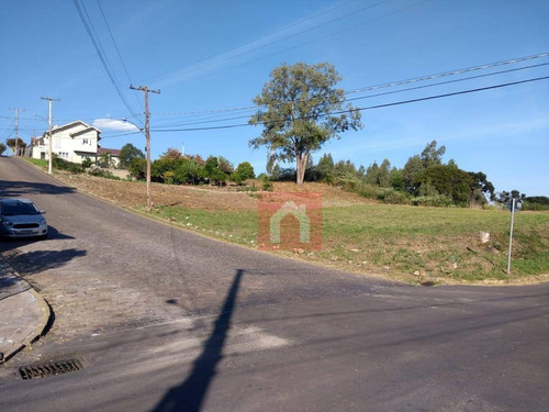 Terreno À Venda, 419 M² Por R$ 230.000,00 - Chácaras - Garibaldi/rs - Te0128