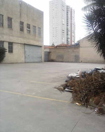 Imagem 9 de 30 de Galpão Aluga-se - Gl00099 - 2559947