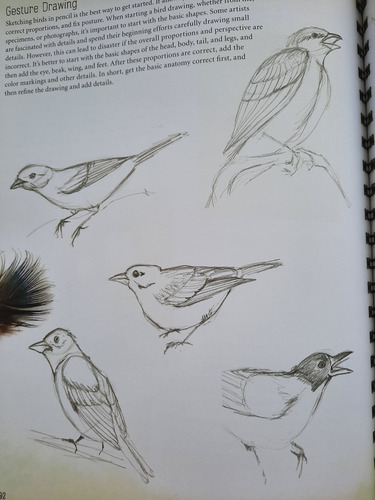Libro Fisico Botanical Y Birds Illustration, Stock Limitado.