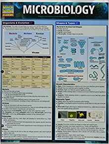 Microbiology (quick Study Academic)