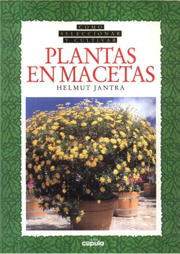 Jantra: Cómo Seleccionar Y Cultivar Plantas En Macetas