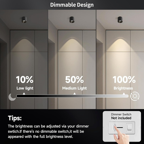 Lámpara De Techo Led Regulable, Moderna Lámpara De Techo Emp
