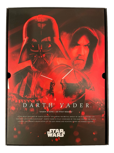 Battle Damaged Darth Vader Hot Toys Dx28 Deluxe 1/6 Scale (Usado)