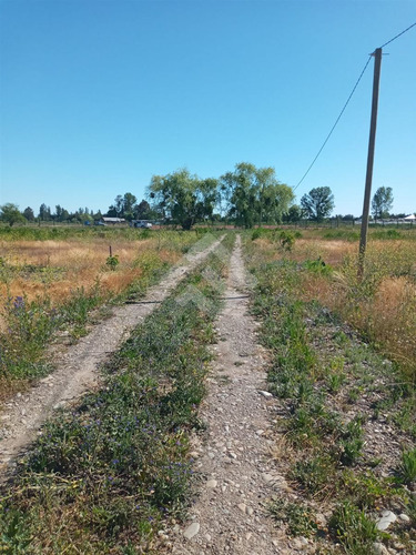 Agrícola En Venta En Linares