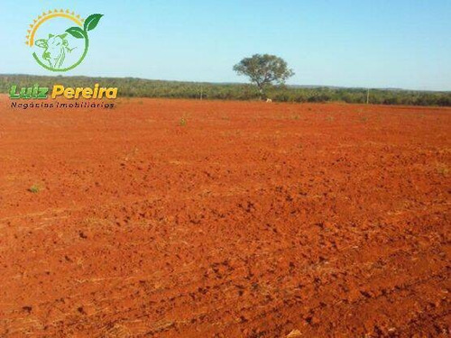 Imagem 9 de 11 de Fazenda À Venda No Vale Do Araguaia - To - 1.108 Hectares (dupla Aptidão) - 2101