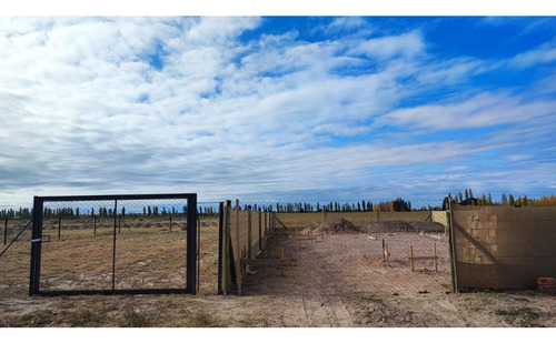 Terreno San Rafael Mendoza - Venta