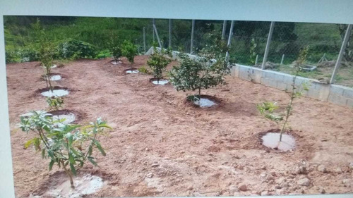 Chácara 1.200 M² Com Valor Imperdível Em Ibiúna - Cód.075