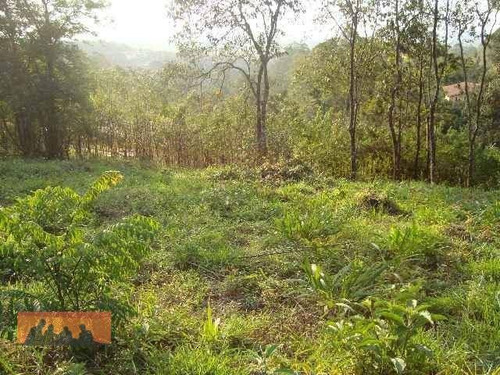 Imagem 8 de 8 de Terreno À Venda, 5000 M² Por R$ 330.000,00 - Ivoturucaia - Jundiaí/sp - Te0229