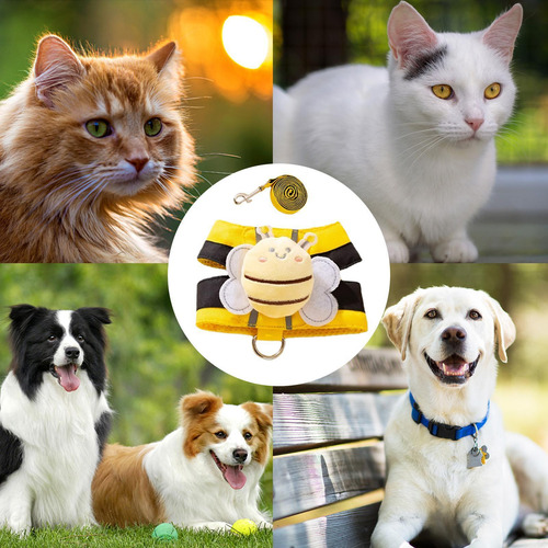 Arnés Para Cachorros Para Perros Pequeños Arnés Para Perros