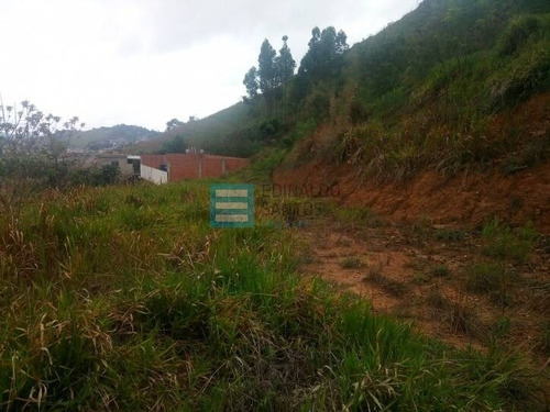 Imagem 5 de 9 de Edinaldo Santos - Ótimo Terreno No Santo Agostinho Com 5.000m² - 7237