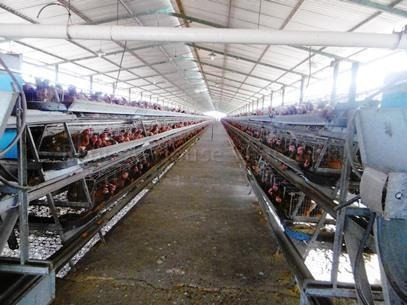 Imagen 10 de 14 de Planta Procesadora De Alimentos En Venta Para Inversionistas