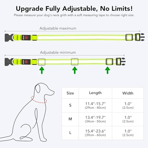 Collares De Perro Con Luz Led, Recargable Con Micro Usb, Imp