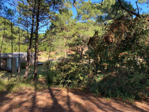 Lote En Venta Zona Alamos En La Calle Cul De Sac De Fgta. Libertad