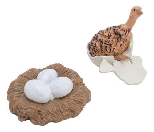Figura De Pvc Con Forma De Ciclo De Vida De Avestruz, Animal